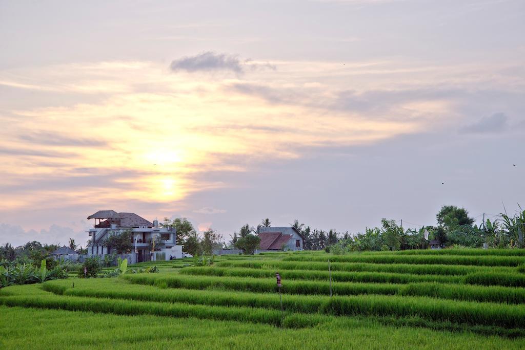 Paddy View Villa クタ エクステリア 写真