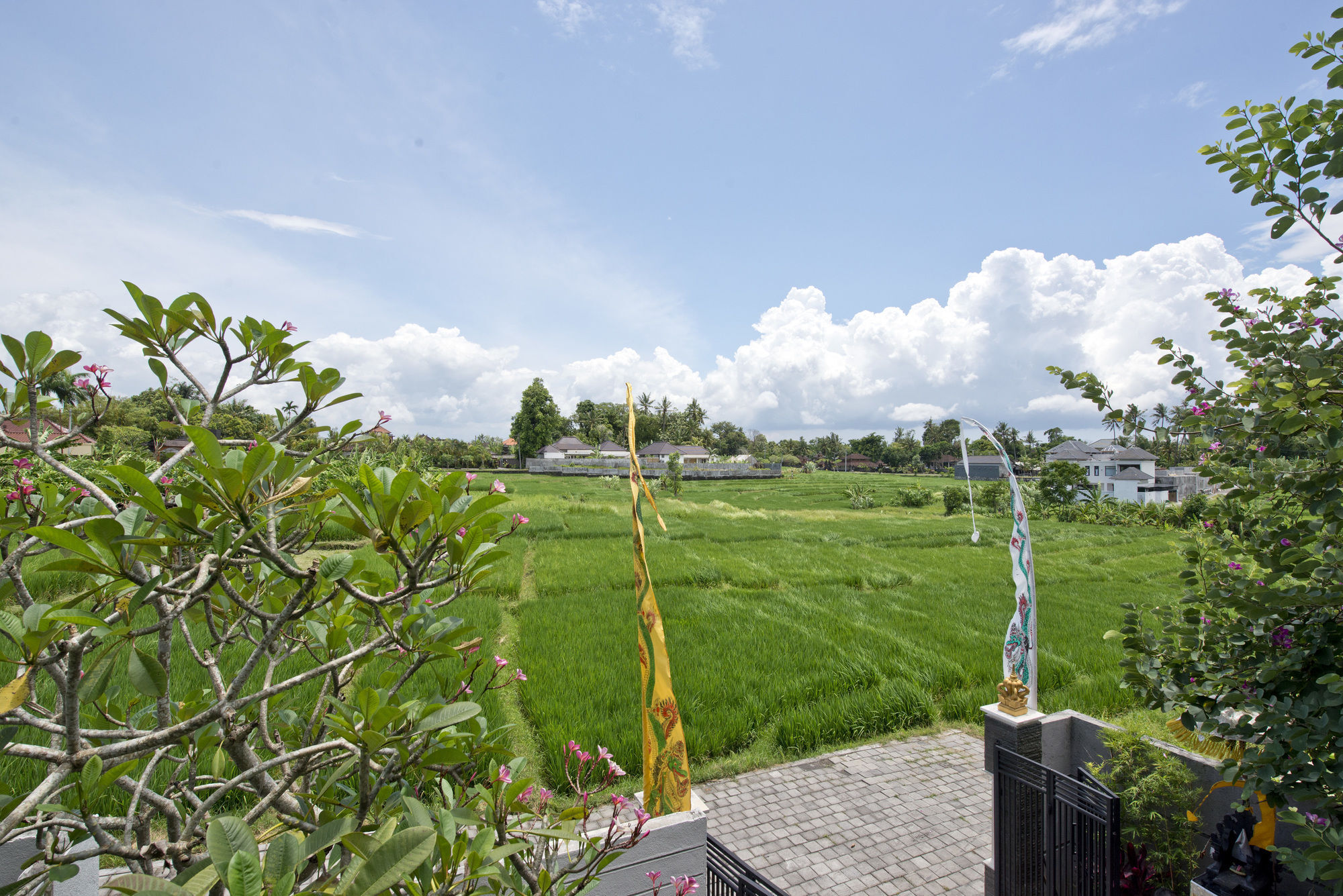 Paddy View Villa クタ エクステリア 写真